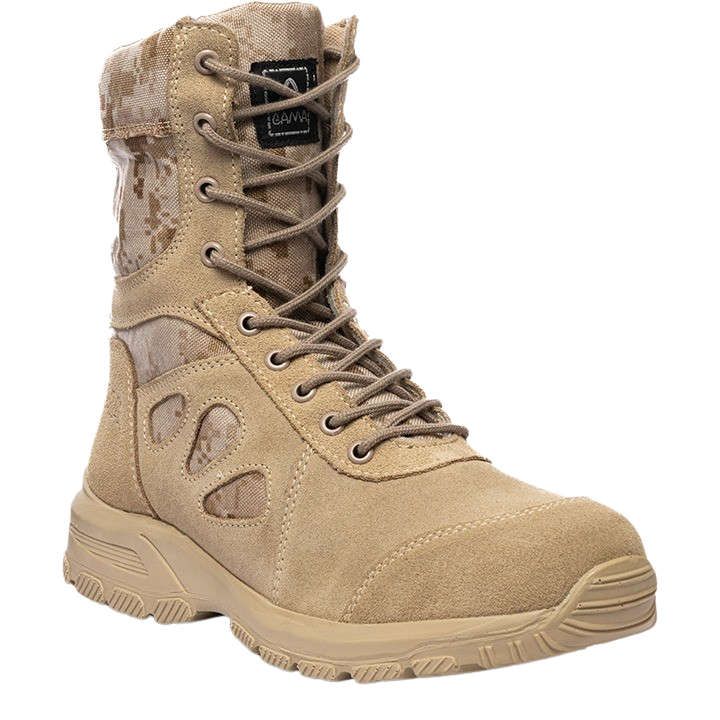 R TIGER ARENA S ROMANOS A