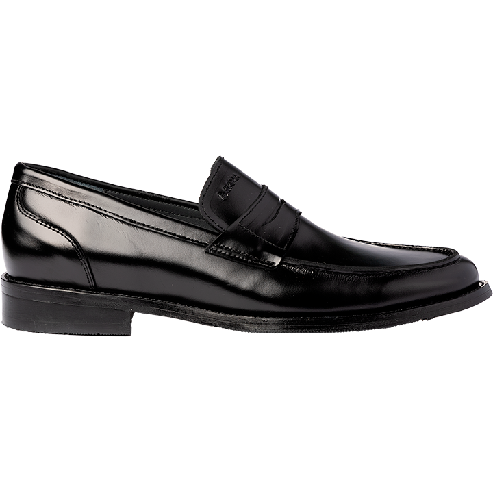 R 531 camaleon negro b 1