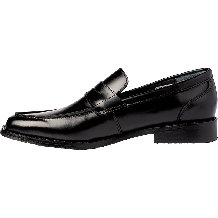 R 531 camaleon negro c