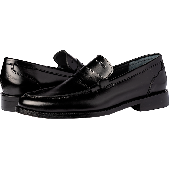 R 531 camaleon negro d